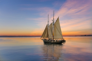 Sydney Cruises Sydney Cruises